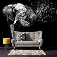 Флизелиновые фотообои с животными 368x254 см Слон (11769V8)+клей