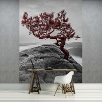 Флизелиновые 3d фото обои природа 206x275 см Красное дерево на скале (11771VEA)+клей - вид 5 миниатюра