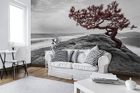 Флизелиновые 3D фото обои в интерьере 254x184 см Красное дерево на скале (11771V4)+клей