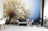 Флизелиновые 3д фотообои с цветами 416x254 см Одуванчик вблизи на фоне неба (11792VEXXXL) +клей