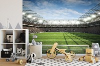 Флизелиновые 3D фото обои для мальчика подростка 254x184 см Стадион (11798V4)+клей