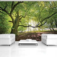 Флизелиновые 3д фотообои с природой в интерьере 368x280 см Зеленое дерево в солнечном лесу (11799V10) +клей