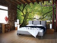 Флизелиновые 3д фотообои природа 416x290 см Зеленое дерево в солнечном лесу (11799VEXXXXL) +клей