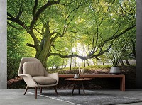 3д флизелиновые фотообои 520x318 см Зеленое дерево в солнечном лесу (11799VEXXXXXL) +клей