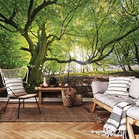 Флізелінові 3D фотошпалери з природою 368 x 254 см Дерево в лісі (11799V8)+клей - вид 11 мініатюра