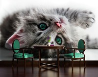 Котята флизелиновые фотообои 3D 368x254 см Сладкий котенок (1183V8)+клей