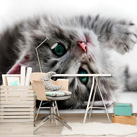 Флизелиновые 3D фотообои с котятами 312x219 см Сладкий котенок (1183VEXXL)+клей