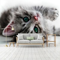 Коты флизелиновые фотообои 3D 416x254 см Сладкий котенок (1183VEXXXL)+клей