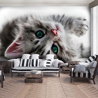 Кошенята флізелінові фотошпалери 3D 368x254 см Солодке кошеня (1183V8)+клей - вид 7 мініатюра