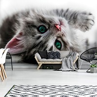 Фото животных флизелиновые фотообои 3D 254x184 см Сладкий котенок (1183V4)+клей