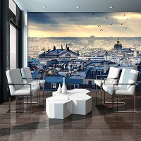 Комната с флизелиновыми фото обоями города 312x219 см Париж с высоты птичьего полета (11853VEXXL) +клей