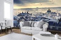 Флизелиновые фотообои город фото Париж с высоты птичьего полета (11853V)+клей