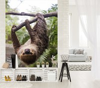 Флізелінові 3d фото шпалери природа 184x254 см лінивець (11858V4A)+клей