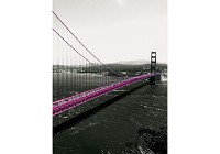 Флізелінові фотошпалери на стіну в залі 206x275 см Золоті ворота Міський Міст (1196VEA)+клей - вид 1 мініатюра