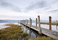 Флізелінові фотошпалери у вітальню природа 254x184 см 3D Ландшафт Озеро Пірс (12013V4)+клей - вид 1 мініатюра