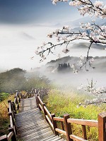 Флизелиновые 3д фотообои 184x254 см Дерево и лестница на фоне туманных гор (12022V4A) +клей - вид 1 миниатюра