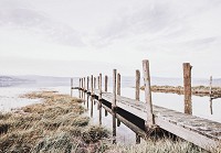 Флизелиновые фотообои в спальню природа 416x254 см 3Д Пирс и сухая трава (12047VEXXXL) +клей - вид 1 миниатюра