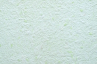 Рідкі шпалери Юрскі Юкка 1204 Салатовий