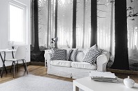 Фотообои флизелиновые 368x254 см Черно-белый туманный лес (12067V8)+клей