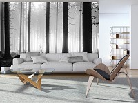 Флизелиновые фото обои природа 312x219 см Черно-белый туманный лес (12067VEXXL)+клей