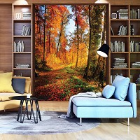 Флизелиновые фото обои с природой 206x275 см  Лучи в осеннем лесу (12108VEA)+клей