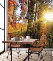 Флизелиновые 3д фотообои 520x318 см Лучи в осеннем лесу (12108VEXXXXXL) +клей