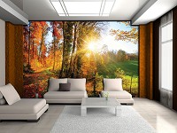 Флизелиновые 3д фотообои пейзаж 312x219 см Лучи в осеннем лесу (12108VEXXL) +клей