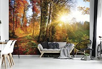 3d флизелиновые фотообои природа 416x290 см Лучи в осеннем лесу (12108VEXXXXL) +клей