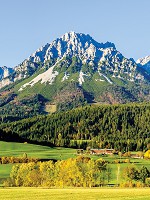 Фотошпалери 3д флізелінові 206x275 см Висока гора за лісом (12109VEA)+клей - вид 1 мініатюра