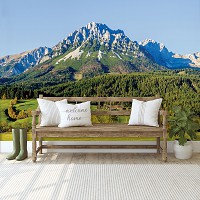 Флизелиновые 3д фотообои дерево на стену 368x280 см Высокая гора за лесом (12109V10) +клей