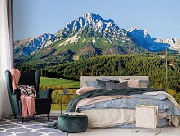 Флизелиновые 3д фотообои пейзажи природы 368x254 см Высокая гора за лесом (12109V8) +клей