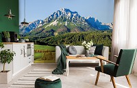 Пейзаж флизелиновые 3д фотообои 312x219 см Высокая гора за лесом (12109VEXXL) +клей