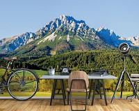 Флизелиновые 3д фотообои пейзаж 416x254 см Высокая гора за лесом (12109VEXXXL) +клей