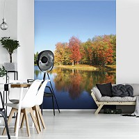 Флизелиновые 3D фото обои природа 206x275 см Осенний лес за озером (12113VEA)+клей