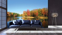 Флизелиновые фотообои 3д природа 416x254 см Осенний лес за озером (12113VEXXXL) +клей
