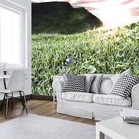 Флизелиновые 3д фотообои природа 416x290 см Молодая зеленая трава (12130VEXXXXL) +клей