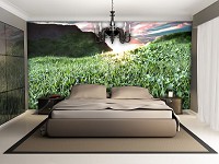 Флізелінові фото шпалери 3D 254x184 см Молода зелена трава (12130V4)+клей