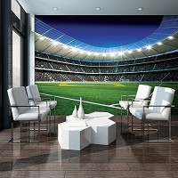 Флизелиновые 3D фотообои футбол 254x184 см Футбольное поле (1213V4)+клей