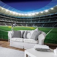 Флизелиновые футбольные 3D фото обои 312х219 см стадион (1213VEXXL)+клей