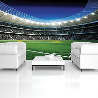 Флизелиновые 3D фотообои футбольное поле 416х254 см стадион (1213VEXXXL)+клей
