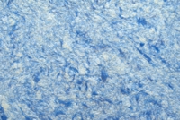 Жидкие обои Юрски Юкка 1213 Синий