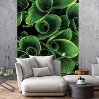 Фотообои флизелиновые 206x275 см Зеленые листья (12160VEA)+клей