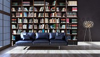 Флизелиновые фотообои книжный шкаф книги на полке (12170V)+клей