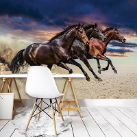 Флизелиновые 3D фотообои в детскую 368x254 см Три красивых коня (1217V8)+клей