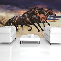 Флизелиновые 3D фотообои для детской 416x254 см Три красивых коня 1217VEXXXL+клей