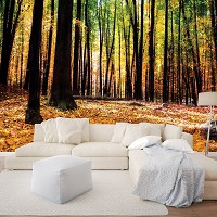 Спальня флізелінові фотошпалери 416x254 см Жовте листя в осінньому лісі (1220VEXXXL)+клей - вид 5 мініатюра