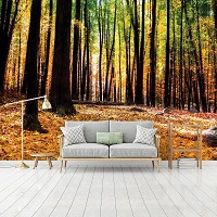 Флизелиновые фотообои в зал 254x184 см Желтые листья в осеннем лесу (1220V4)+клей