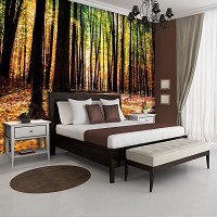 Флізелінові фотошпалери на стіну фото для залу 312x219 см Жовте листя в осінньому лісі (1220VEXXL)+клей