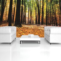 Спальня флізелінові фотошпалери 416x254 см Жовте листя в осінньому лісі (1220VEXXXL)+клей