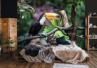 Красивые флизелиновые 3д фотообои с природой 368x280 см Птицы Тукан Экзотические Джунгли (12222V10) +клей